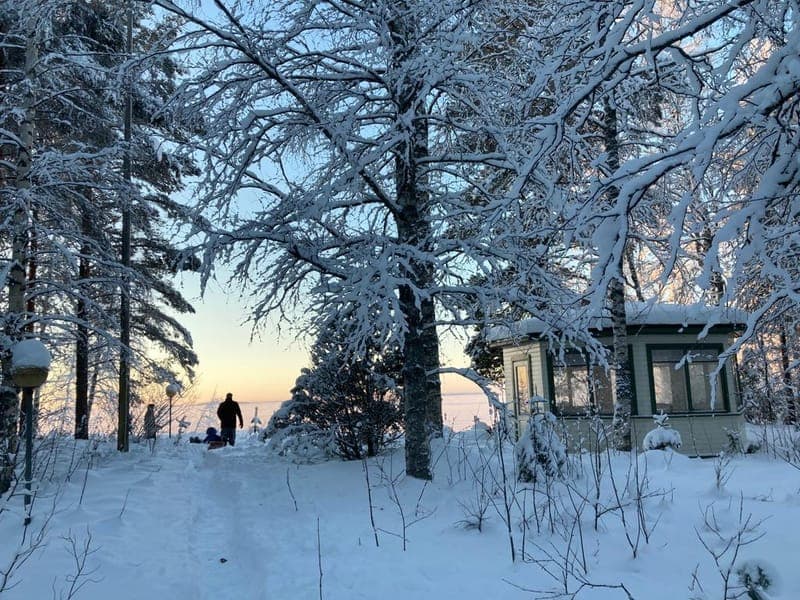 Luminen polku talvisessa rantametsässä
